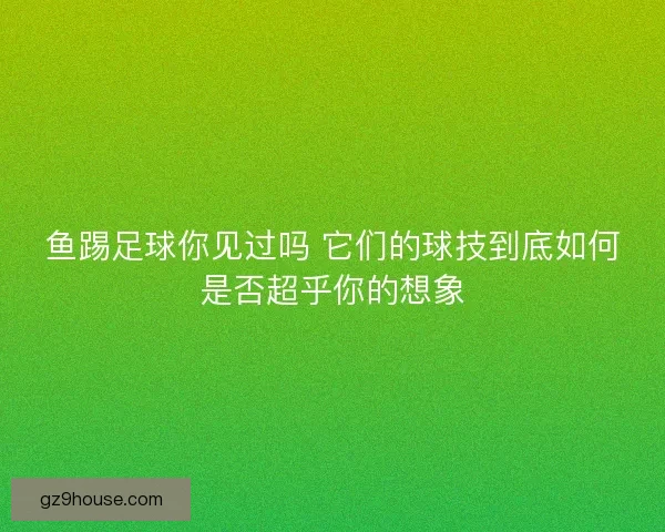鱼踢足球你见过吗 它们的球技到底如何是否超乎你的想象