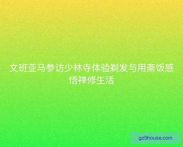 文班亚马参访少林寺体验剃发与用斋饭感悟禅修生活
